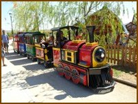 Mini Express